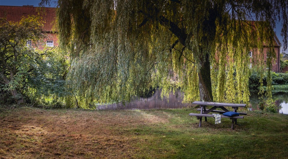 The shared area by the mill stream across from Mrs Preedys Cottage, Norfolk