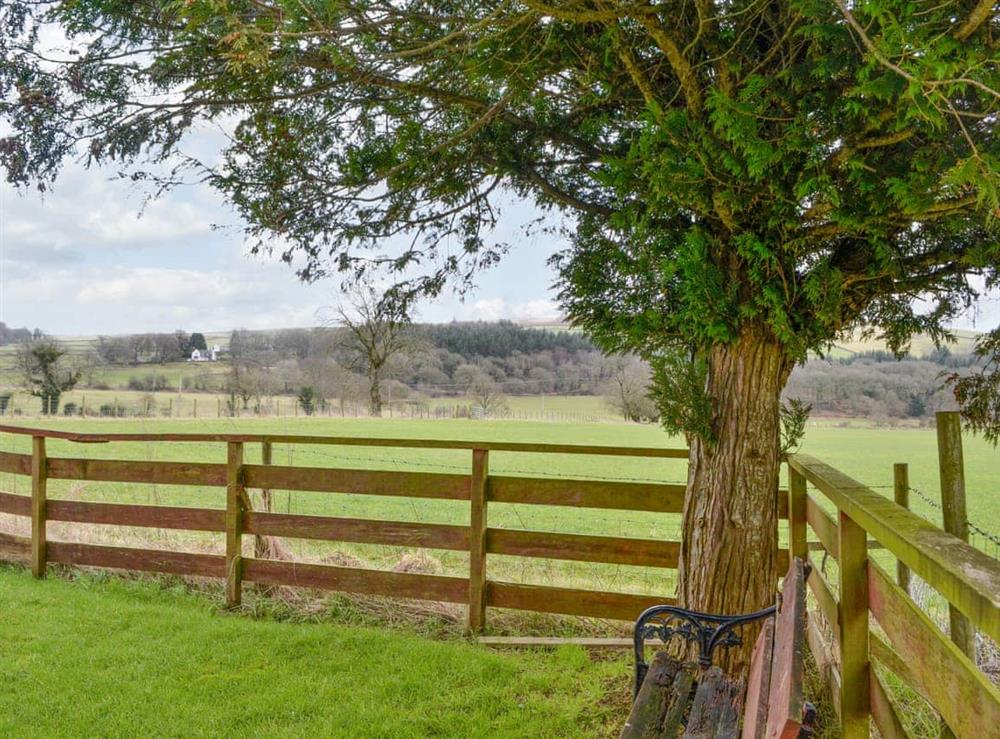 Garden and grounds (photo 3) at Muirfad Cottage in Palnure, near Newton Stewart, Wigtownshire