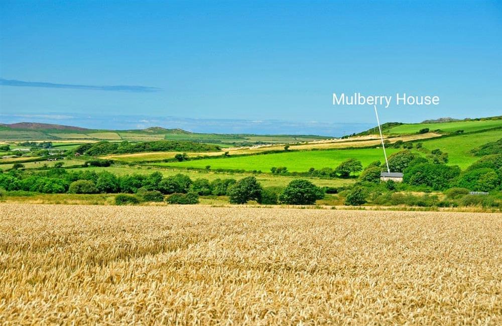 The area around Mulberry House at Mulberry House in Granston, Pembrokeshire, Dyfed