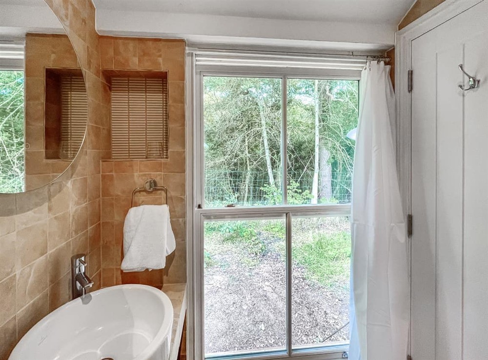 Bathroom (photo 3) at Mullacash Annex in Dorking, Surrey