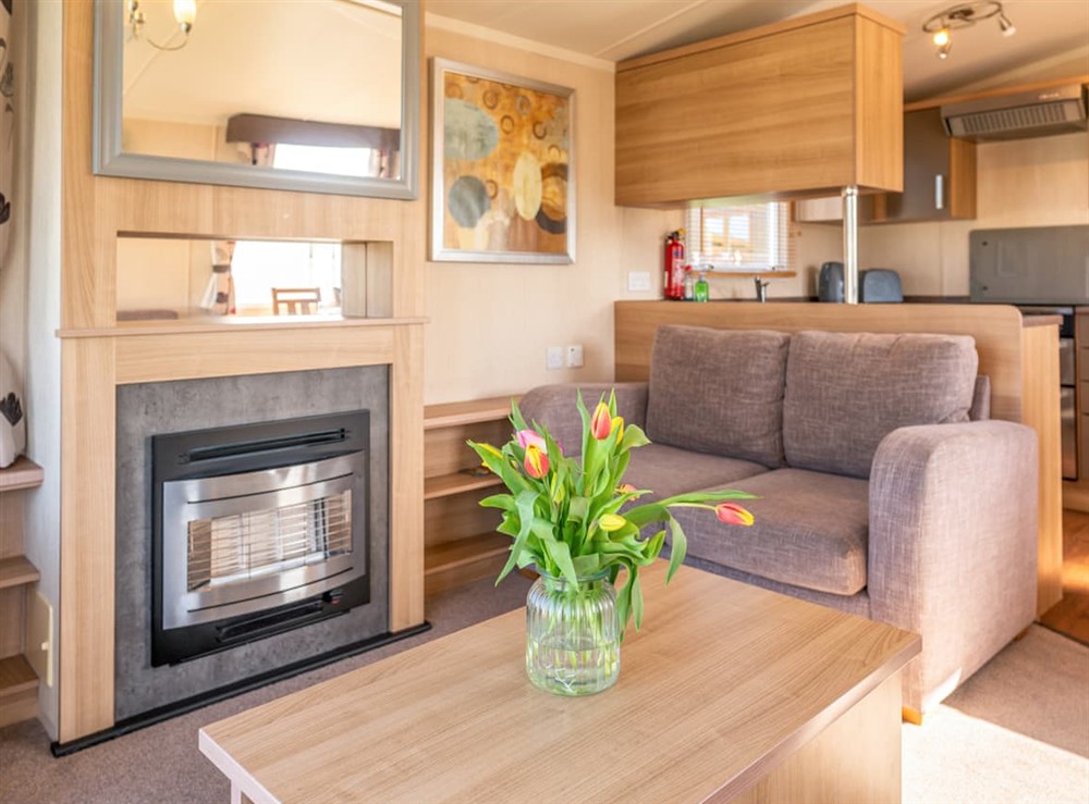 Open plan living space at 24 Woolacombe Heights, 