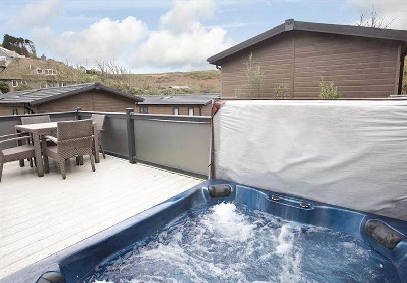 Mullion Premier Lodge (photo number 15) at Mullion Cove Lodges in , Cornwall