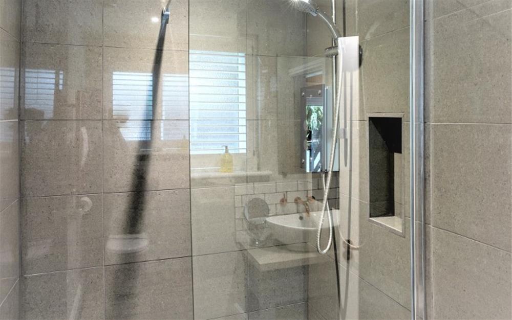 The large walk in shower is ideal for anyone that finds a step challenging.