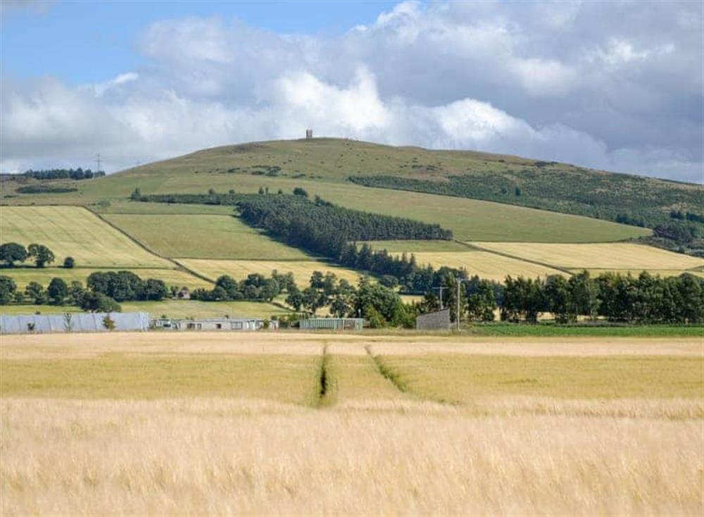 Kinpurney Hill with Kinpurney Tower on top - a local landmark seen from the cottage at Myreside Cottage in Meigle, Perthshire