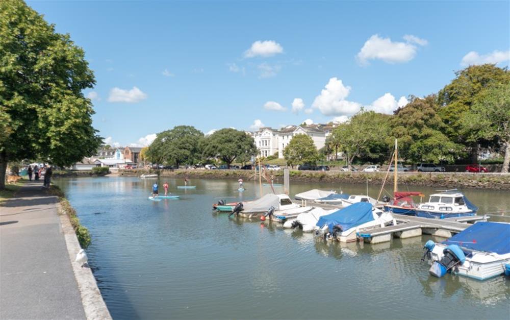 The estuary in Kingsbridge, just a few minutes walk from the cottage! Ideal if you fancy trying your hand at paddle-boarding!  at Myrtle Cottage in Kingsbridge