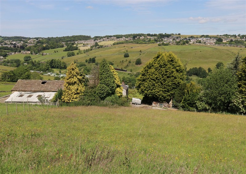 The garden at Myrtle Vista, Cross Roads