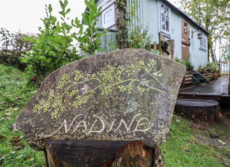 Enjoy the garden at Nadine, Felindre near Beguildy