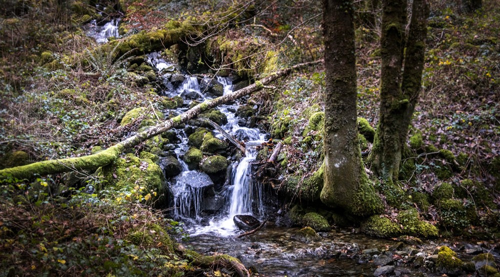 Waterfalls in the surrounding landscape, Nant Las, Gwynedd at Nant Las in Dolgellau, Gwynedd