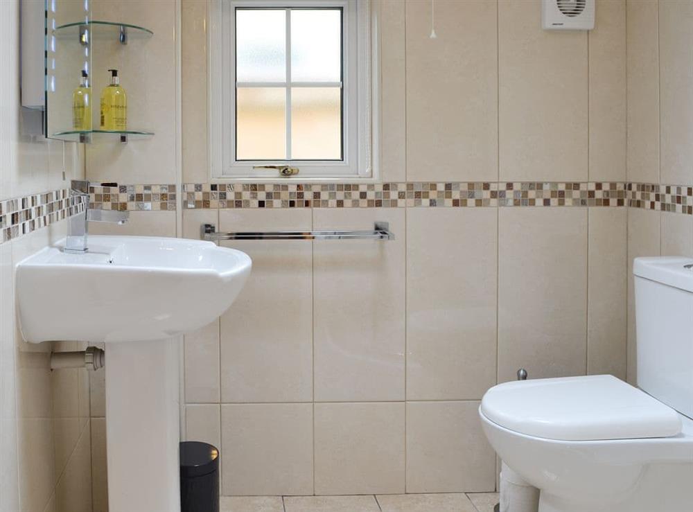 Shower room at Nant y Bwthyn in Dol-y-Bont, near Borth, Cardigan-Ceredigion, Dyfed
