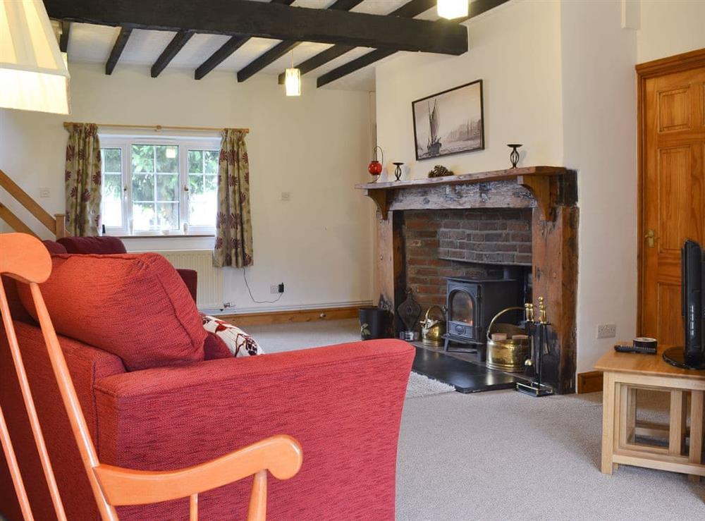 Spacious and comfortable living room at Nant y Bwthyn in Dol-y-Bont, near Borth, Cardigan-Ceredigion, Dyfed