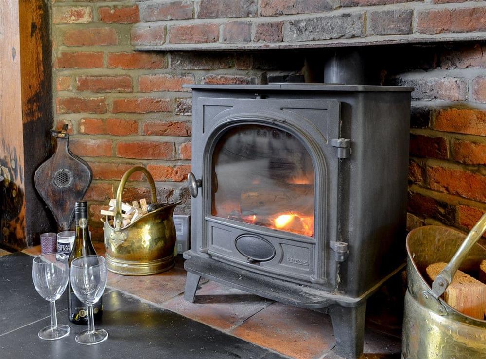 Warm and cosy wood burner at Nant y Bwthyn in Dol-y-Bont, near Borth, Cardigan-Ceredigion, Dyfed