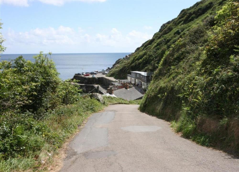 Lane leading to the cove