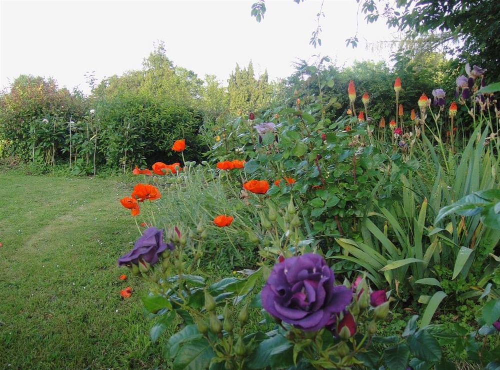 Garden (photo 4) at Nantucket House in Misterton, near Crewkerne, Somerset