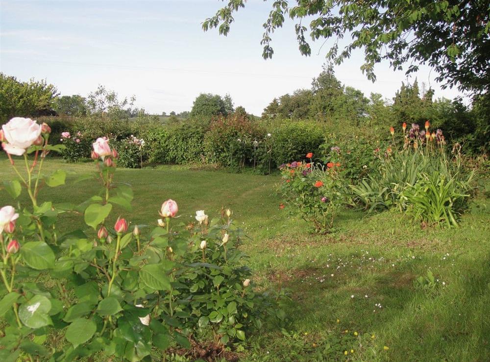 Garden at Nantucket House in Misterton, near Crewkerne, Somerset