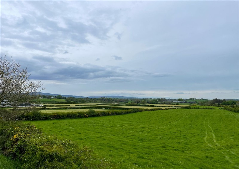Enjoy the garden at Narrow Gauge Cottage, Armoy