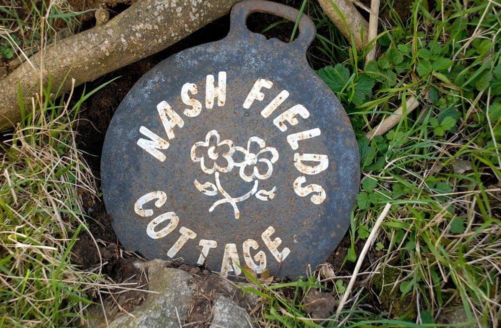 The garden in Nash Fields Cottage at Nash Fields Cottage in Llangwm, near Burton, Pembrokeshire, Dyfed