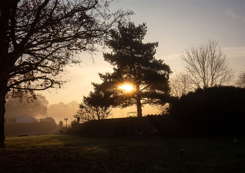 In the area at Natures Lodge, Cookley