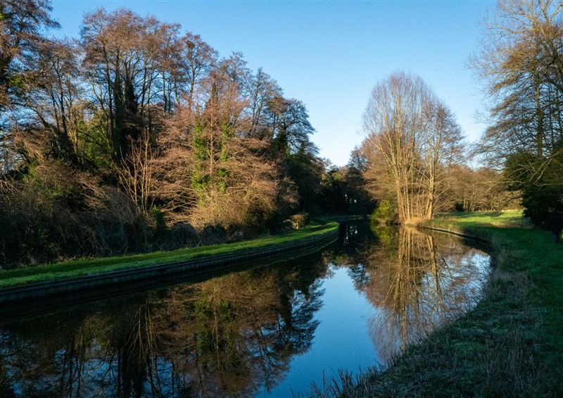 Rural landscape at Natures Lodge, Cookley