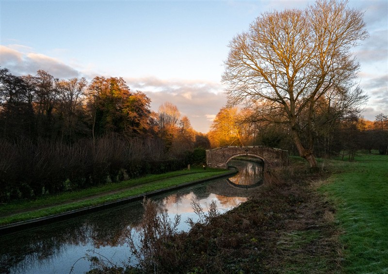 The area around Nature's Lodge at Natures Lodge, Cookley