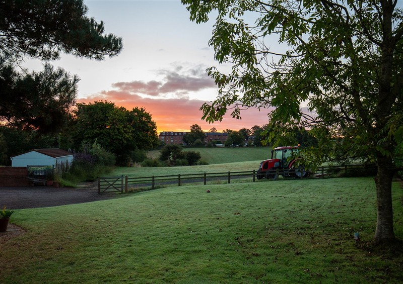 The garden in Nature's Lodge (photo 3) at Natures Lodge, Cookley