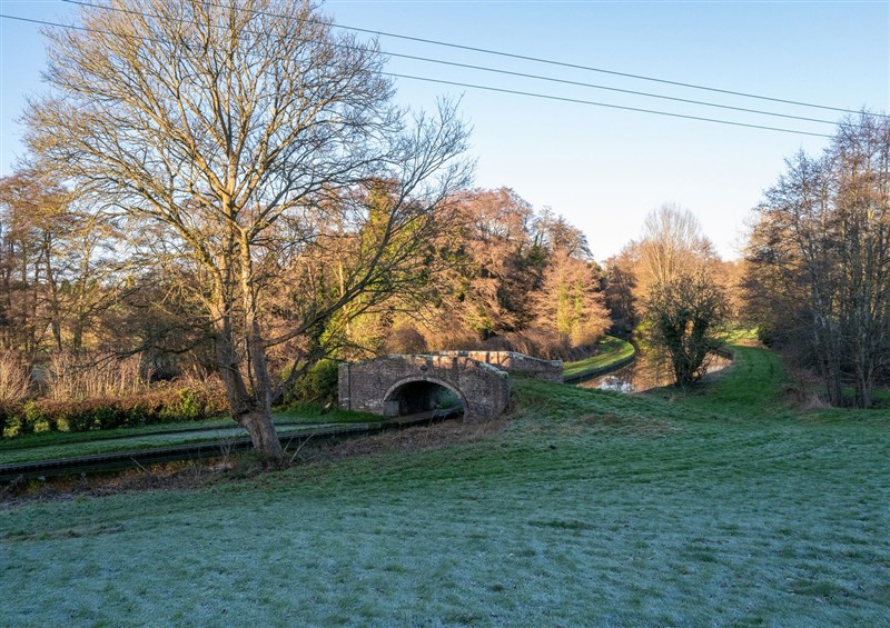This is the garden at Natures Lodge, Cookley