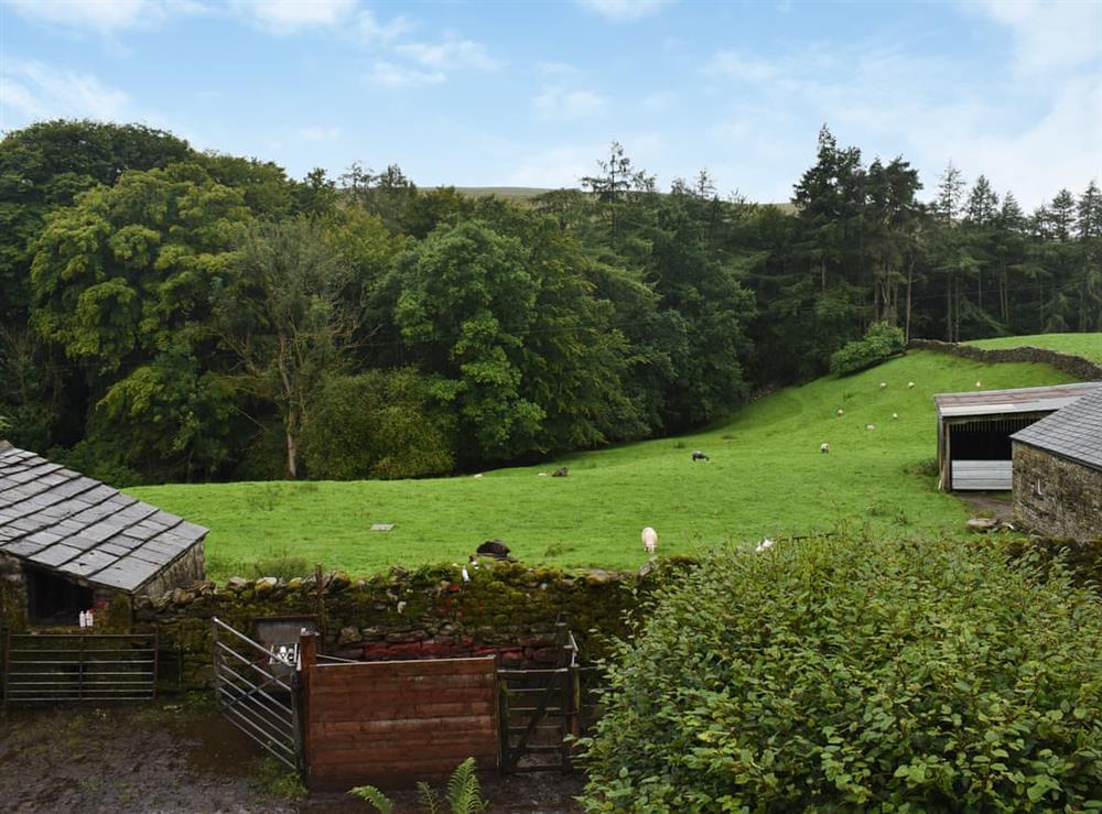 View at Needle House in Ravenstonedale, near Kirby Stephen, Cumbria