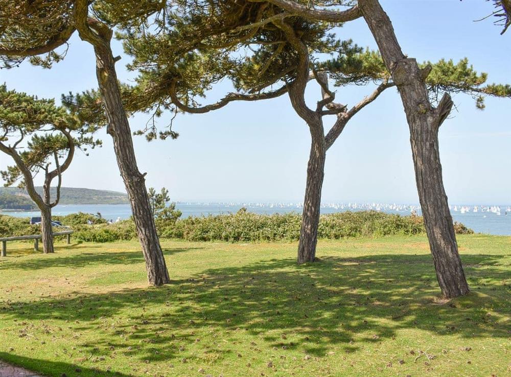 Garden area with Solent views at Needles and Winds in Freshwater, Isle of Wight
