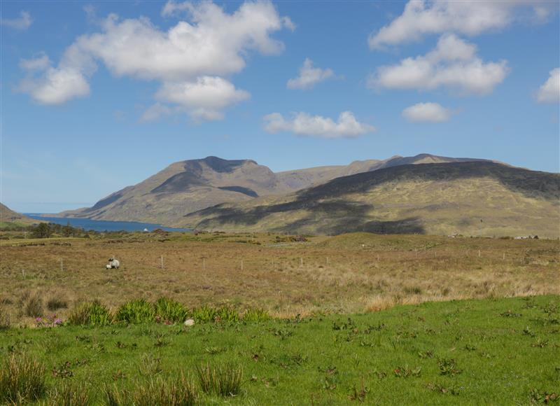 The setting of Nellie's Cottage