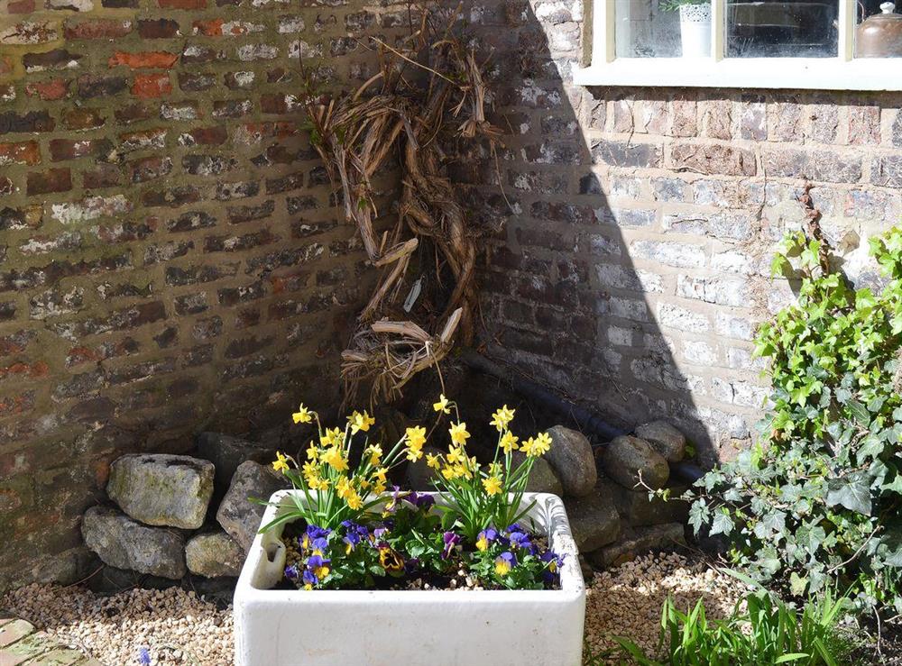 Delightful old sink used as a planter in the garden at Nells Cottage in Bridlington, North Humberside