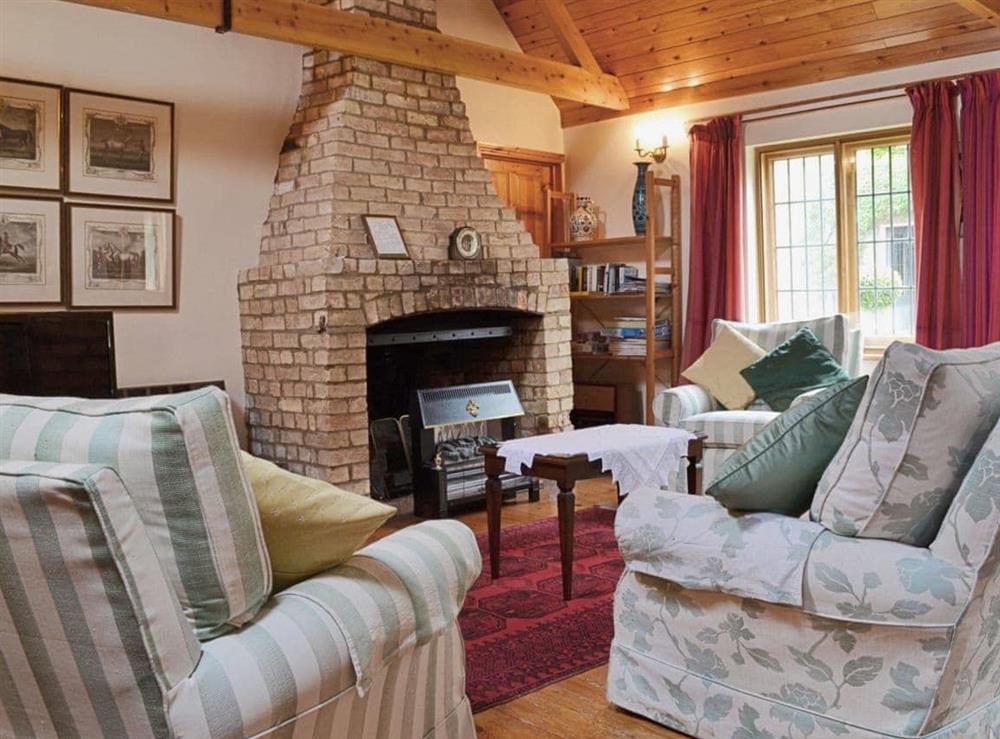 Living room (photo 2) at Netherall Manor Lodge in Soham, near Ely, Cambridgeshire