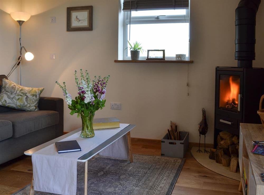Open plan living space with wood burner (photo 2) at The Hayloft, 