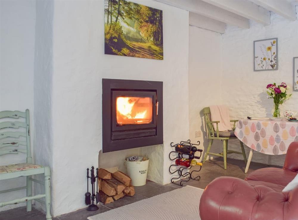 Living area (photo 2) at Neuadd Deg in Carmarthen, Dyfed