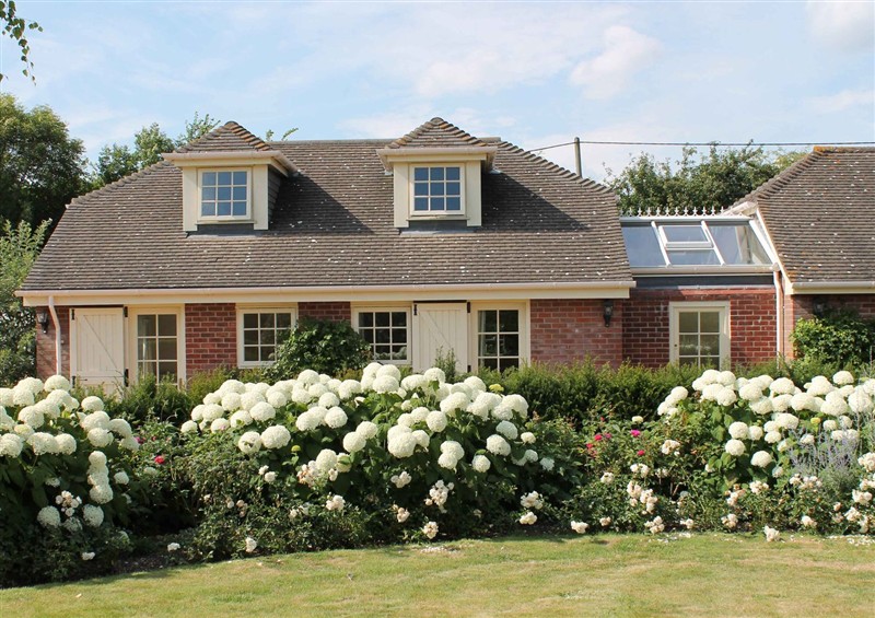 The garden in New Barn at New Barn, Broad Chalke