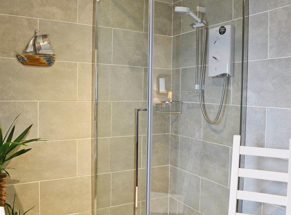 Modern shower room at Bridge Cottage, 