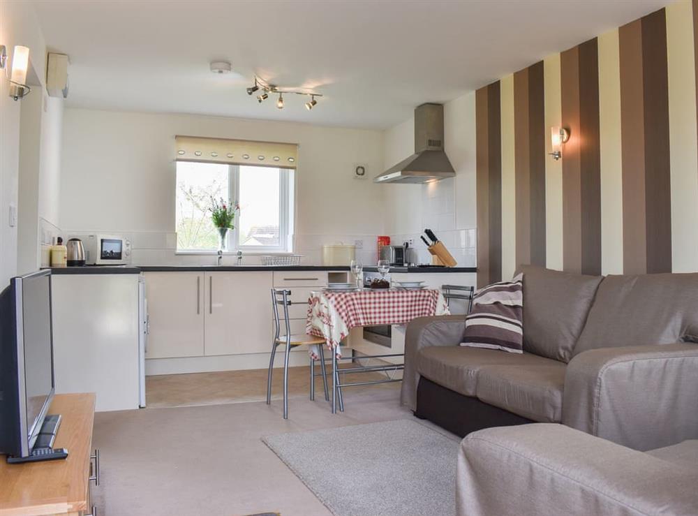Typical open plan living space at Widgeon Cottage, 