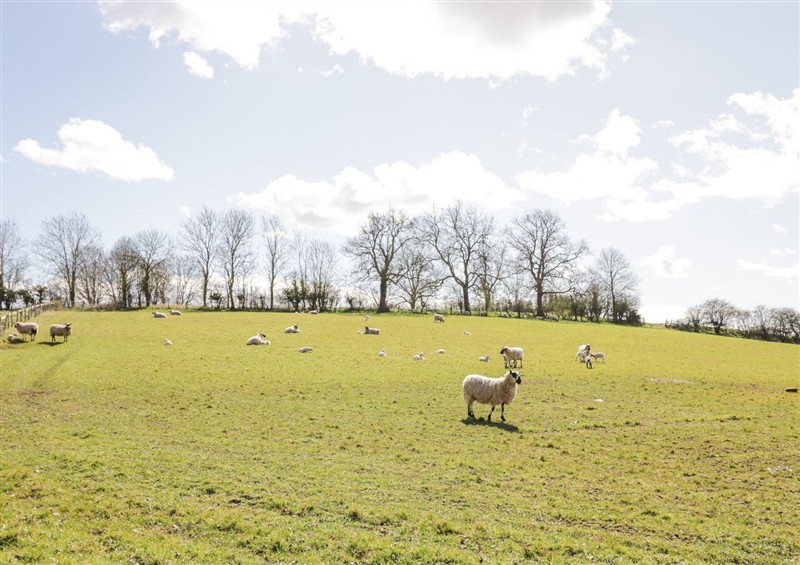 The garden (photo 2) at New House Farm, Wappenbury near Leamington Spa