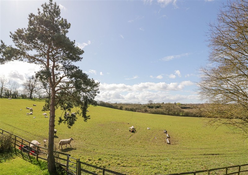 The garden in New House Farm at New House Farm, Wappenbury near Leamington Spa