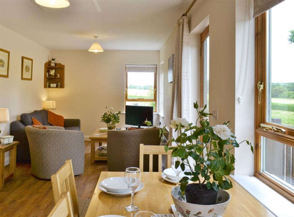 Open plan living/dining room/kitchen (photo 2) at Chestnut Cottage, 