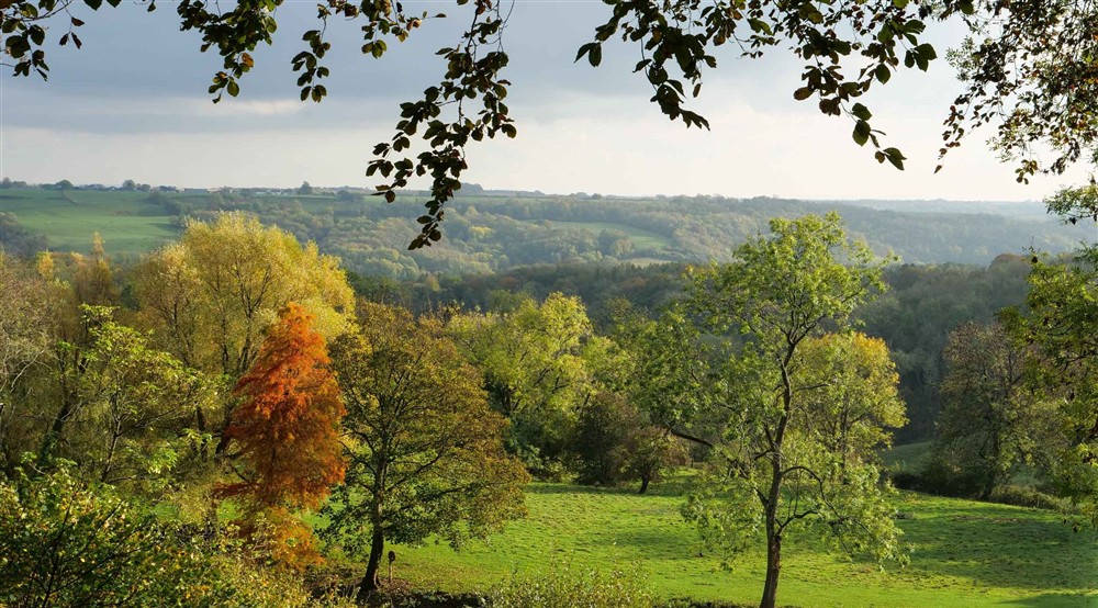 Autumn colours on the parkland at Newark Lower Lodge in Wotton-under-edge, Gloucestershire
