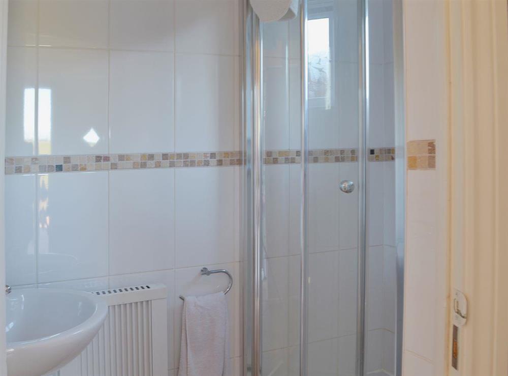 The ground floor shower room has a full height shower and washbasin at Anglers Rest, 