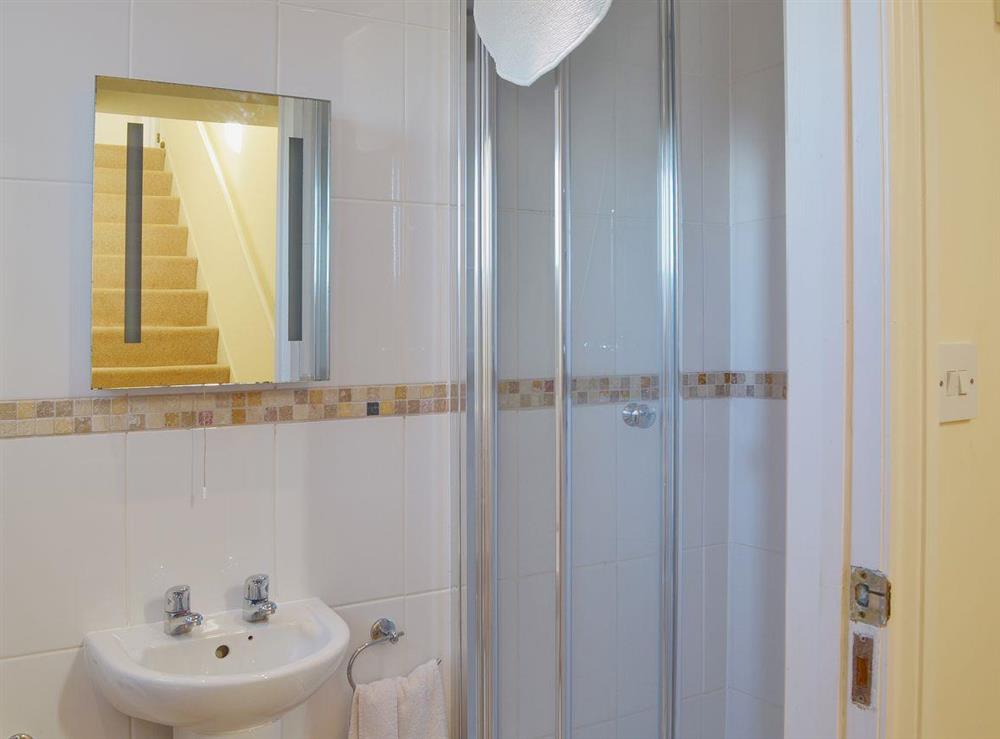 The ground floor shower room has a shower and washbasin at Dartmoor View, 