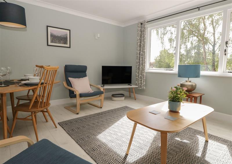 Enjoy the living room at Newlands, Windermere