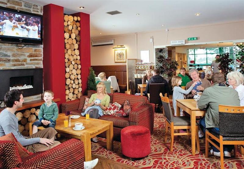Tregenna Bar and Grill (photo number 4) at Newquay Holiday Park in , Newquay