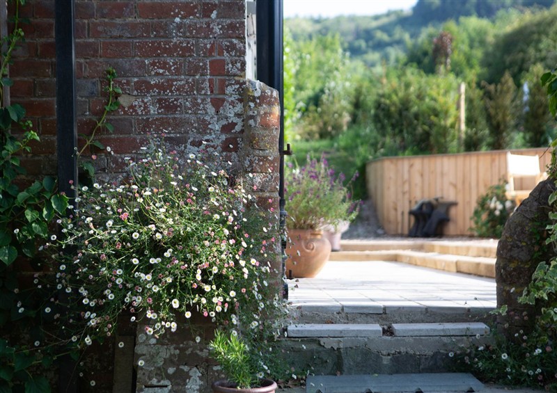 Enjoy the garden at Newstead Farmhouse, East Chiltington near Lewes
