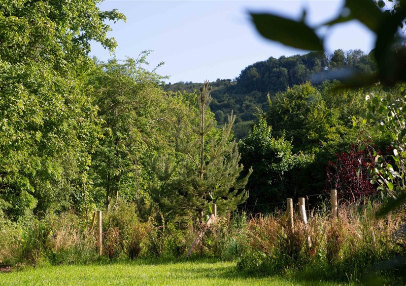 In the area at Newstead Farmhouse, East Chiltington near Lewes