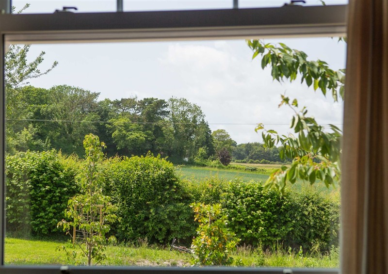 The garden at Newstead Farmhouse, East Chiltington near Lewes