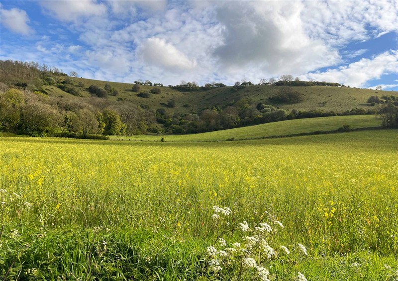 The setting (photo 2) at Newstead Farmhouse, East Chiltington near Lewes