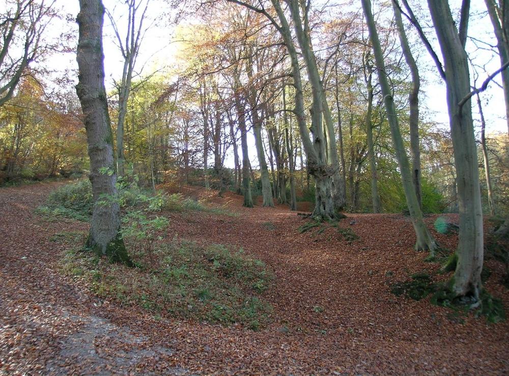 A photo of Newton House Farm