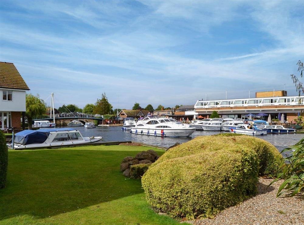 Garden and grounds at Nightingale in Wroxham, Norfolk