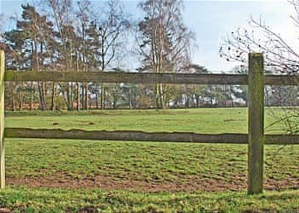 Surrounding area at Nightingales in Hollesley, near Woodbridge, Suffolk